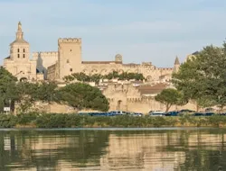 Avignon & Popes Palace: Guided Walking Tour